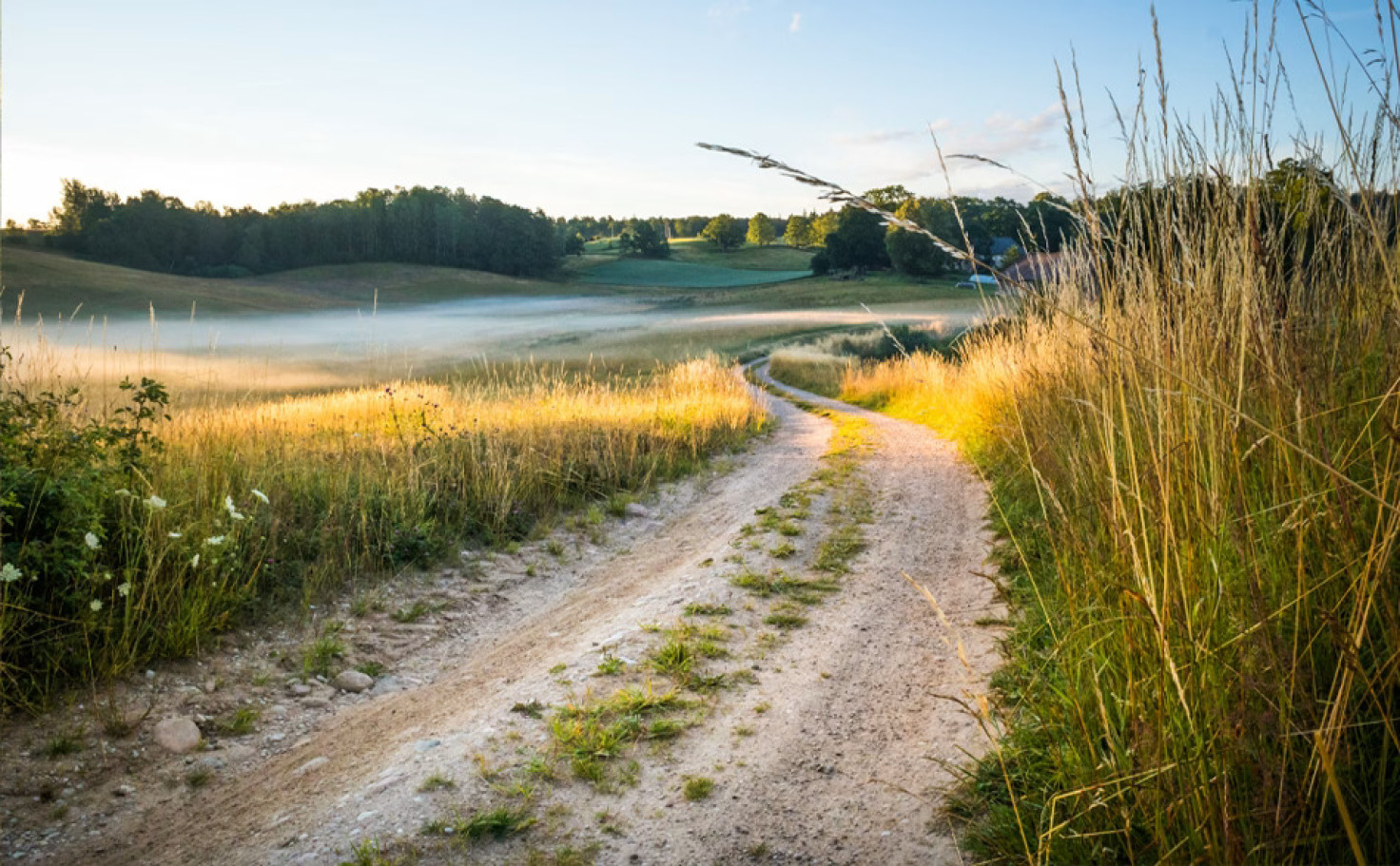 Условия лизинга MOGO